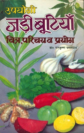 उपयोगी जड़ी बूटियाँ: Useful Herbs