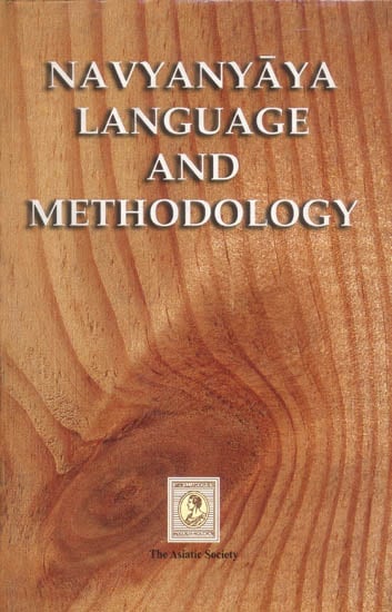 Navyanyaya Language and Methodology