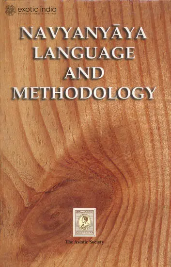 Navyanyaya Language and Methodology