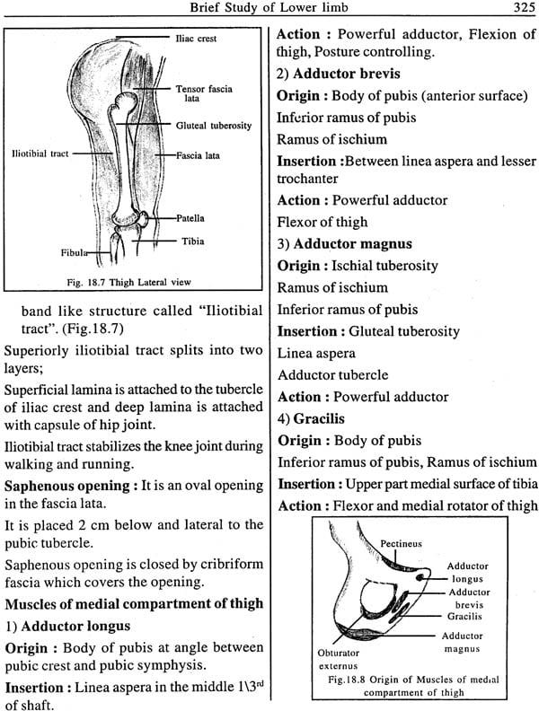 Rachana Sharir: Parallel Study of Rachana Sharir With Modern Anatomy ...