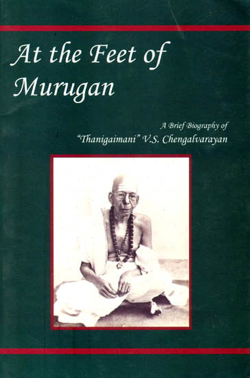 At the Feet of Murugan
