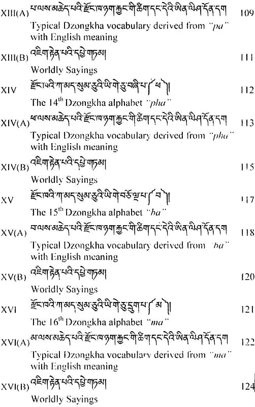 The Light Of Dzongkha And English Combination Exotic India Art