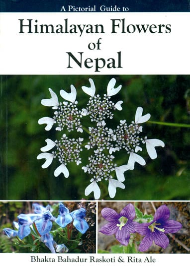 Himalayan Flowers of Nepal