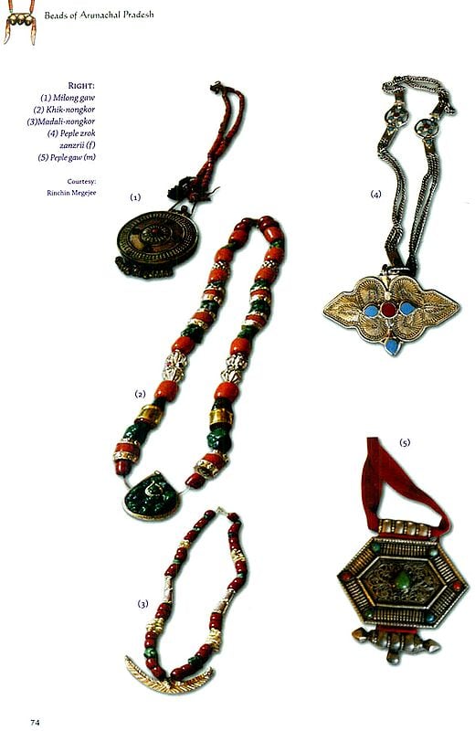 Beads of Arunachal Pradesh (Emerging Cultural Context)  Exotic India Art