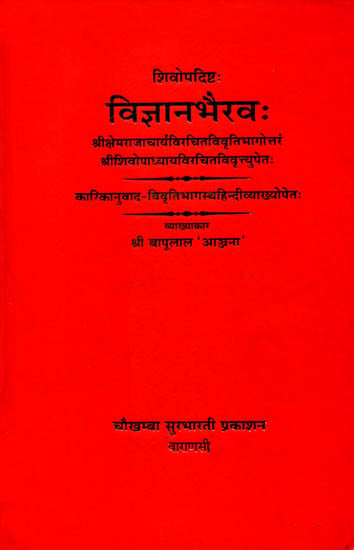 Vijnanabhairava (Hindi)
