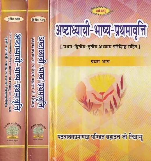 अष्टाध्यायी भाष्य प्रथमावृत्ति: Astadhyayi Bhashya (Set of 3 Voumes)