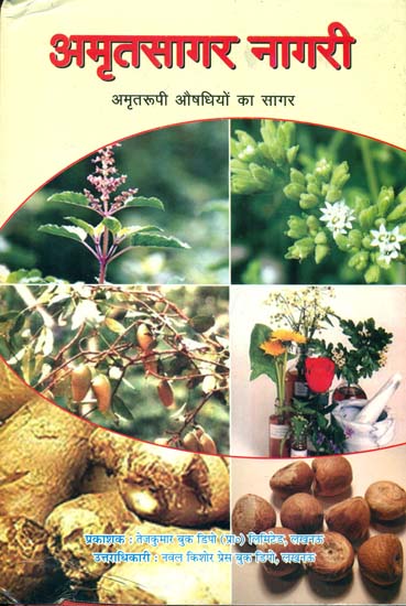 अमृतसागर नागरी:  Amrit Sagar Nagari (The Collection of Ayuvedic Medicines)