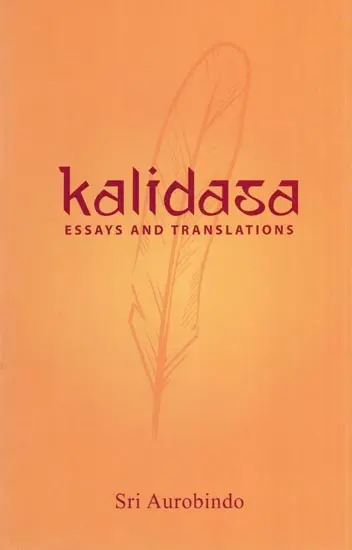 Kalidasa Essays and Translations