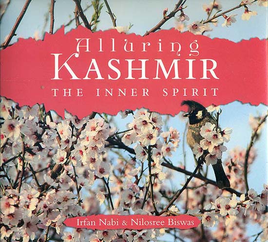 Alluring Kashmir (The Inner Spirit)
