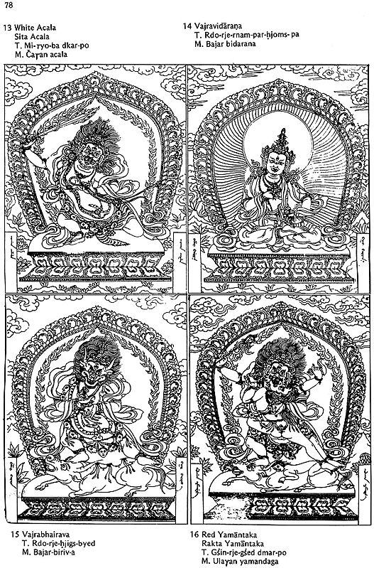 Buddhist Iconography (Compact Edition) | Exotic India Art Buddhist Iconography (Compact Edition) | Exotic India Art