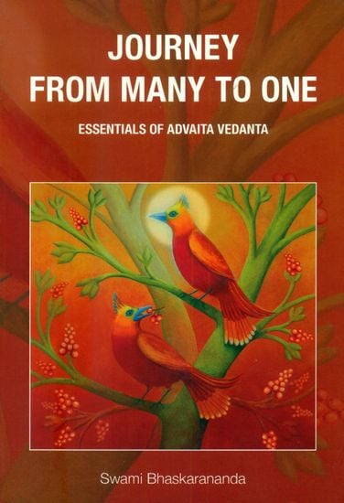 Journey From Many to One (Essentials of Advaita Vedanta)