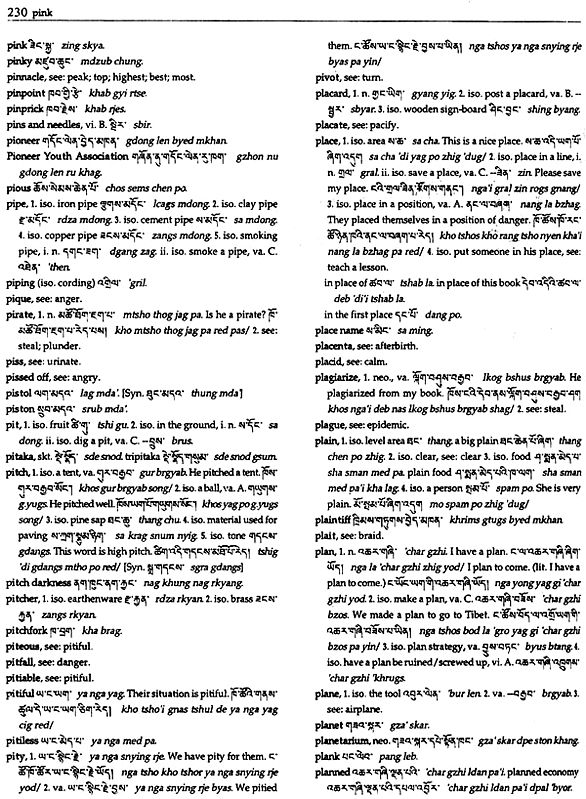 English - Tibetan Dictionary of Modern Tibetan | Exotic India Art