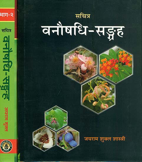 वनौषधि सङ्ग्रह: Collection of Forest Herbs with Colored Photographs (Set of 2 Volumes)