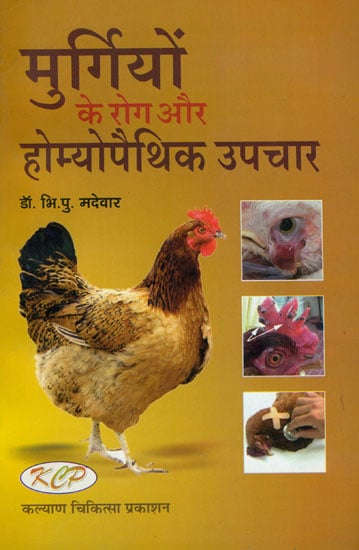 मुर्गियों के रोग और होम्योपैथिक उपचार: Chicken Diseases and Homeopathic Remedies