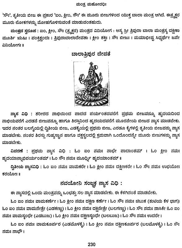 ಮಂತ್ರ ಮಹೋದಧಿ: Mantra Mahodadhi (Kannada) | Exotic India Art