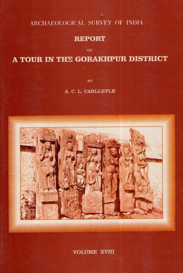 ASI Report of A Tour in the Gorakhpur District (Volume XVIII)