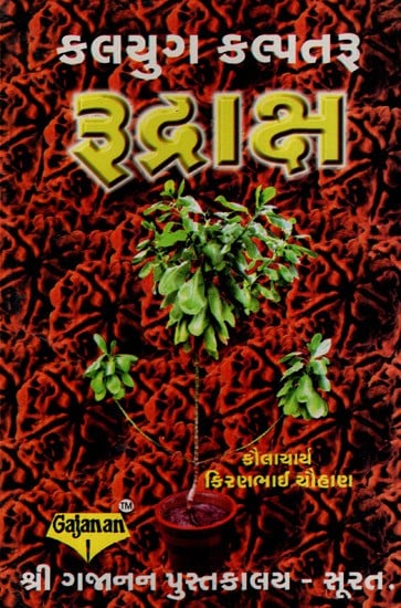 કળિયુગ કલ્પતરુ રૂદાક્ષ - Kali Yuga Kalpataru Rudaksha