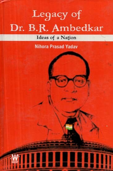 Legacy of Dr. B.R. Ambedkar - Ideas of Nation