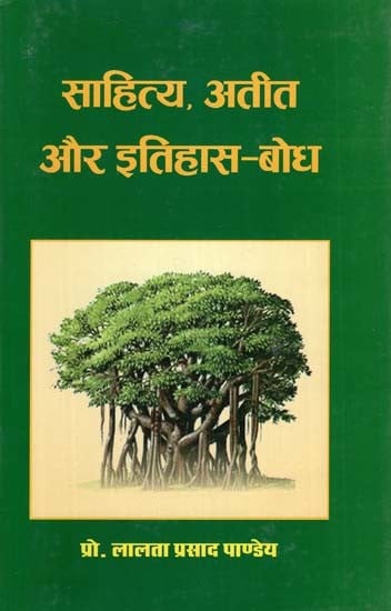 साहित्य अतीत और इतिहास बोध- Literary Past and History - Understanding