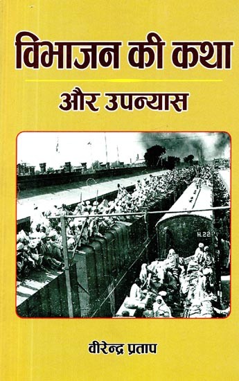 विभाजन की कथा और उपन्यास - Partition Fiction and Novels