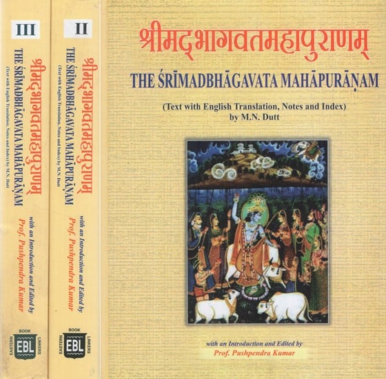 श्रीमद्भागवतमहापुराणम्- The Srimad Bhagawata Maha Puranam (Set of 3 Volumes)