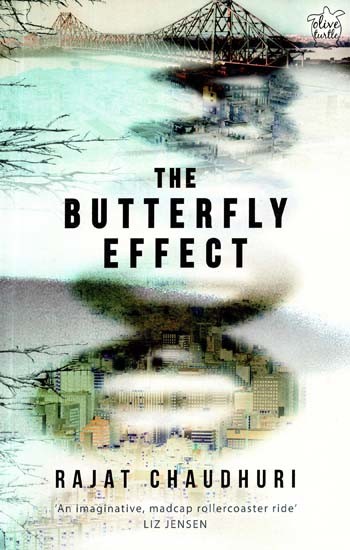 The Butterfly Effect