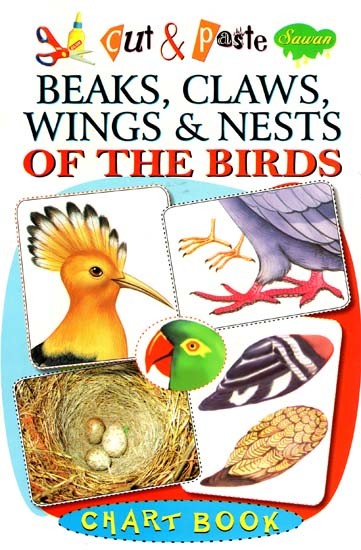 Cut & Paste: Beaks, Claws, Wings & Nests of the Birds (Chart Book)