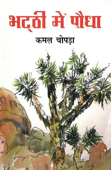 भट्ठी में पौधा- Bhatthi Mein Paudha (Stories of Their Time and Society)