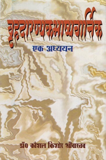 बृहदारण्यकभाष्यवार्त्तिक- एक अध्ययन: Brhdaranyaka Bhasya Vartika- A study