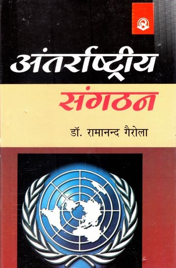 अन्तर्राष्ट्रीय संगठन- International Organization