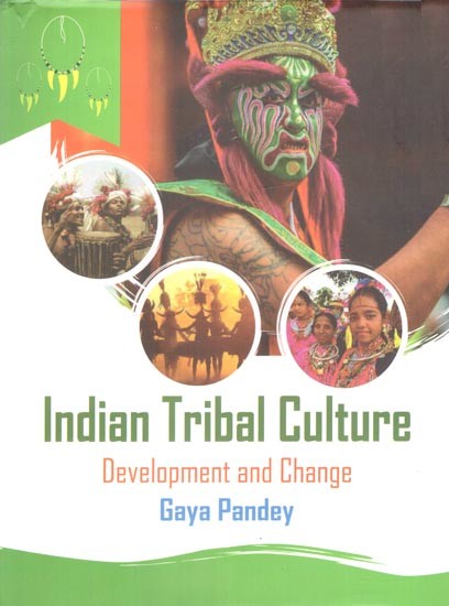 Indian Tribal Culture: Development and Change