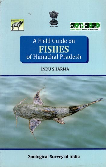 A Field Guide on Fishes of Himachal Pradesh