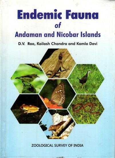 Endemic Fauna of Andaman and Nicobar Island