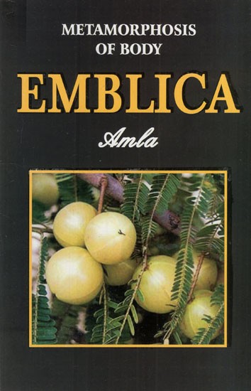 Metamorphosis of Body Emblica (Amla)