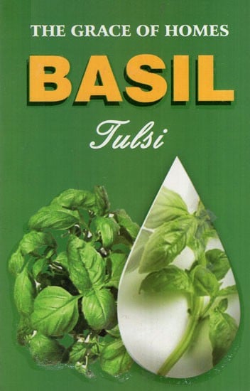 The Grace of Homes Basil (Tulsi)