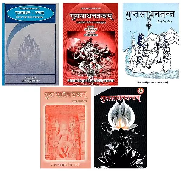 Gupt Sadhana Tantra: Set of 5 Books (In Hindi)