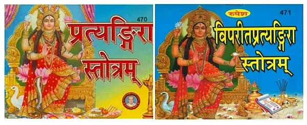 प्रत्यंगिरा एवं  विपरीत प्रत्यङ्गिरा स्तोत्रम्- Pratyangira evam Vipreet Pratyangira Stotram (Set of 2 Books)