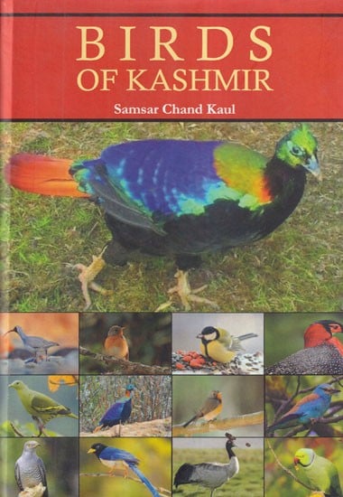 Birds of Kashmir (Photostat)