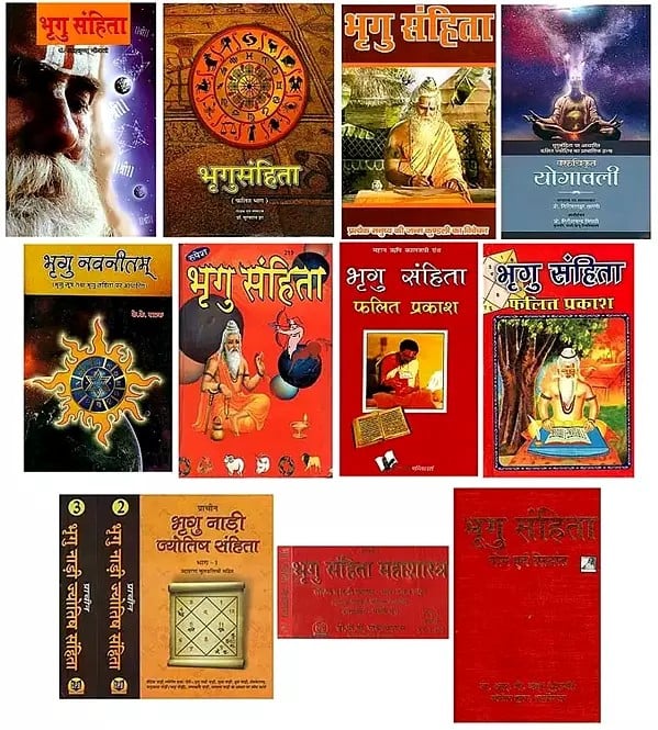 भृगु संहिता: (Set of 13 Books)