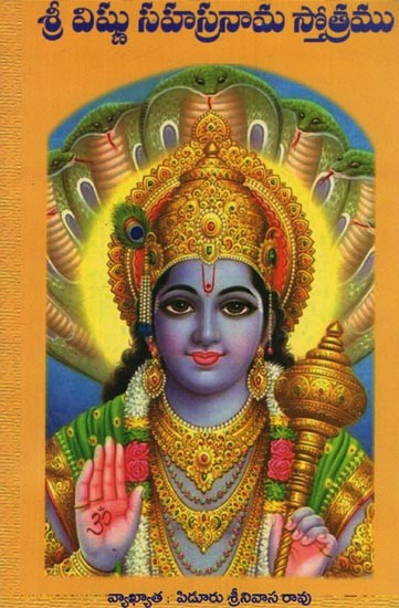 శ్రీ విష్ణు సహస్రనామ స్తోత్రము: Sri Vishnu Sahasranama Stotram in Telugu