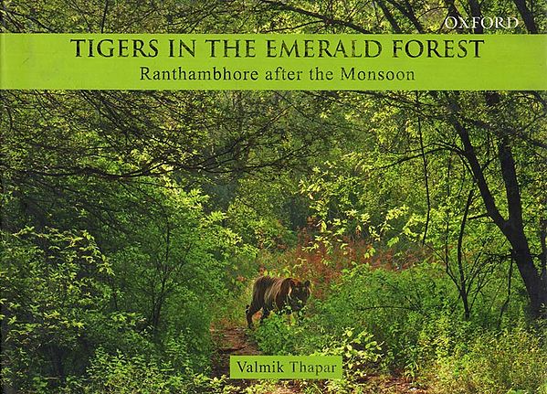 Tigers in the Emerald Forest- Ranthambhore after the Monsoon