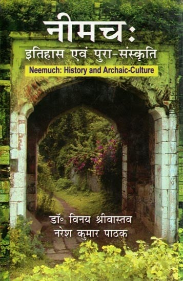 नीमचः इतिहास एवं पुरा-संस्कृति: Neemuch (History and Archaic-Culture)