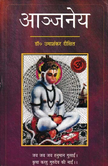 आञ्जनेय- Aanjney (A Novelistic Work Soaked in Hanumat-Leela Vilas)