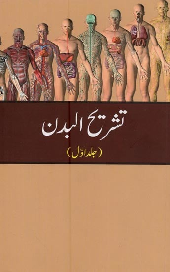 تشریح البدن: Tashreehul Badan: Vol-1 in Urdu