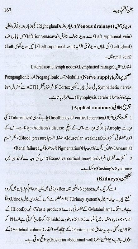 vein-meaning-in-urdu-smartblastme