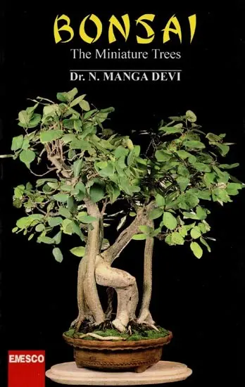 Bonsai: The Miniature Trees