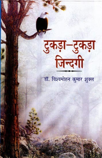 टुकड़ा टुकड़ा जिन्दगी (कहानी-संग्रह): Tukada Tukada Zindagi ( Story Collection)