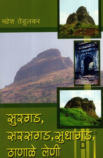 सुरगड, सरसगड, सुधागड, ठाणाळे लेणी: Surgad, Sarasgad, Sudhagad, Thanale Caves