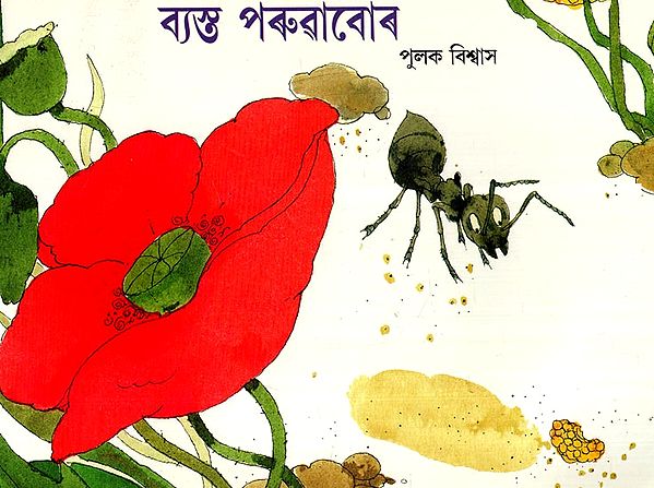 ব্যস্ত পৰুৱাবোৰ: Busy Ants