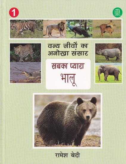 सबका प्यारा भालू- Everyone's Favorite Bear (Unique World of Wild Animals)